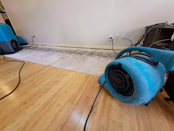 Professional Flood Damage Cleanup technician working in Horn Lake, MS